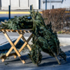 Стоимость новогоднего дерева по городу варьируется от 2 до 5 тысяч рублей — newsvl.ru