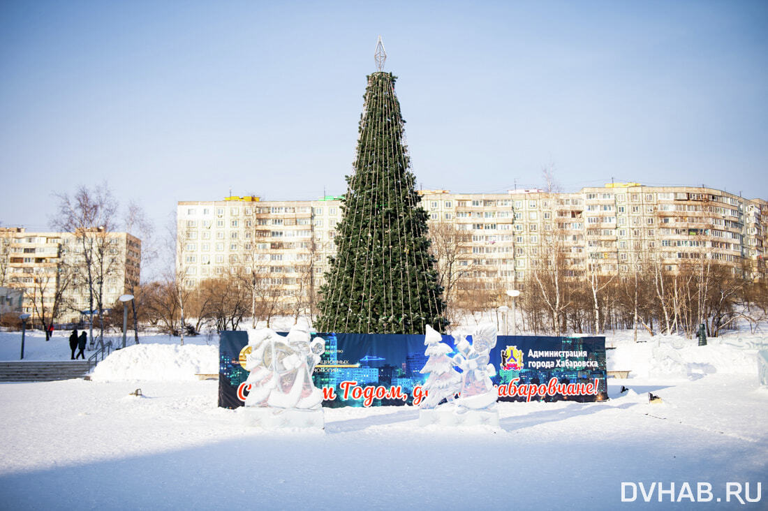 Ели хабаровск. Городская елка Хабаровск. Елка в Хабаровске 2022. Елка в Хабаровске в 2021 году фото. Елку 2022 город Хабаровск.