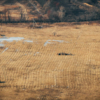 Засохшие поля с рулонами сена – привычный зимний пейзаж вдали от городов — newsvl.ru