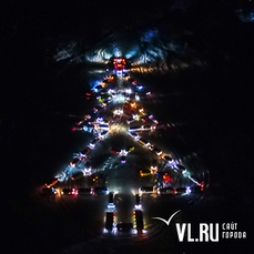 Автомобилисты Владивостока собрали и зажгли новогоднюю ёлку из своих машин 