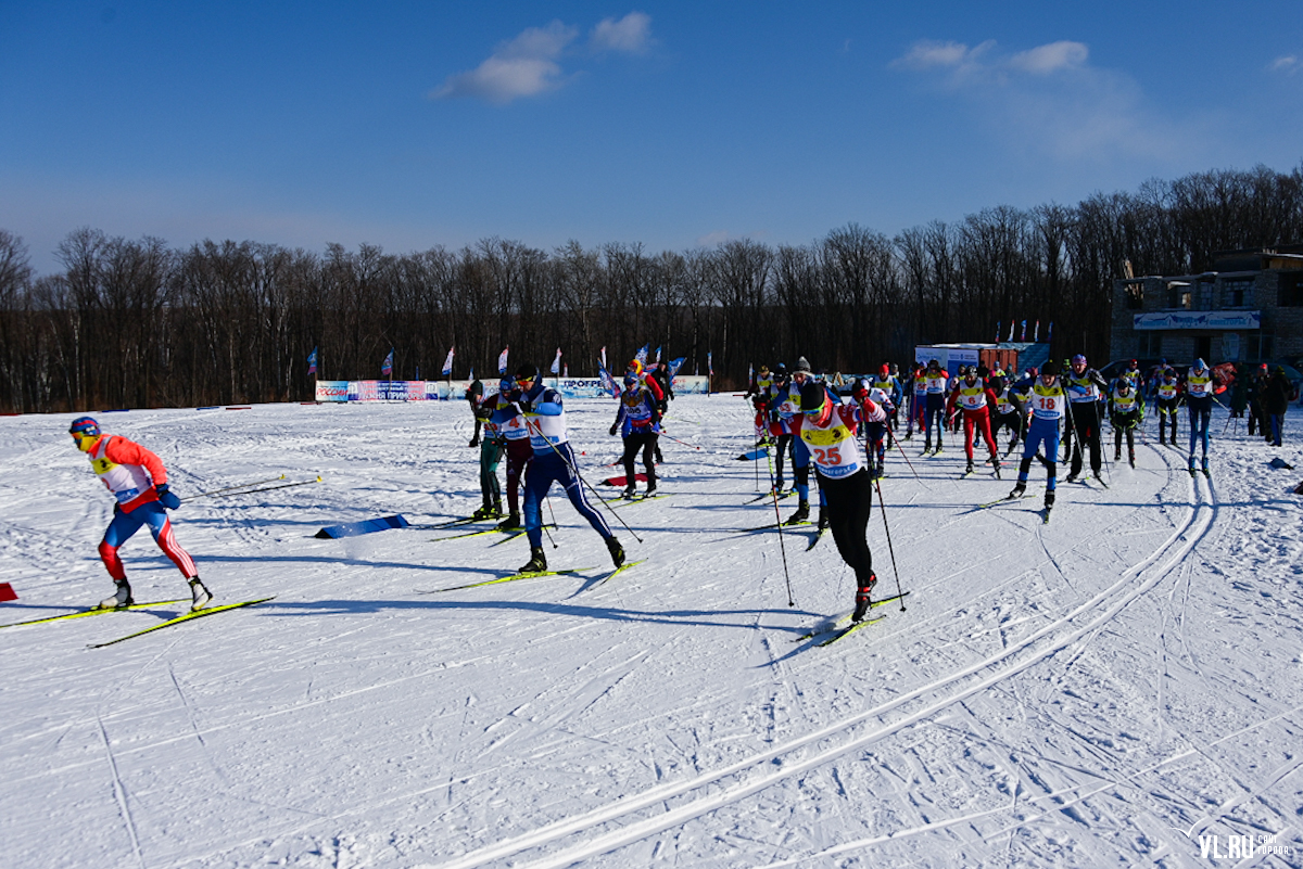 кубок губернатора по лыжным гонкам 2024. юкиор лыжные гонки. спартакиада. флаг всероссийской лыжни. кубок губернатора курской по лыжным гонкам.