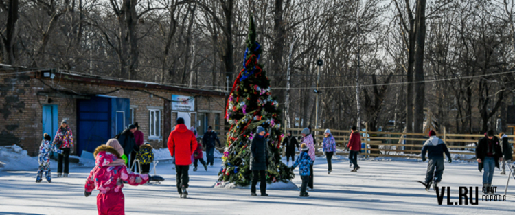 Каток в бабушкином парке