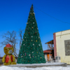 К Новому году установили большую ёлку — newsvl.ru