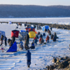 Некоторые рыбаки приехали с палатками — newsvl.ru