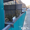 Владивостокцев просят очищать новогодние ёлки от мишуры и оставлять их у мусорных баков
