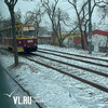 Трамваи во Владивостоке остановились из-за обрыва контактной сети на Борисенко