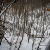 Даже в  зимнем лесу тропу почти не видно – это её особенность — newsvl.ru