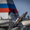 Белохвостый орлан на фоне госпитального судна «Иртыш» — newsvl.ru