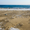 Раньше камешки и ракушки были спрятаны под песком  — newsvl.ru