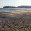 В следующий раз прибрежную зону почистят весной  — newsvl.ru