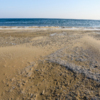Когда температура воздуха станет плюсовой и песок подтает, его будет легко очистить  — newsvl.ru