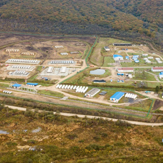 Строительство газового терминала у границ заповедника в Приморье угрожает леопардам и тиграм &#151; WWF