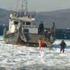 Не перевозка пассажиров, а эвакуация больного: жители острова Путятина вновь вышли на лёд (ВИДЕО)
