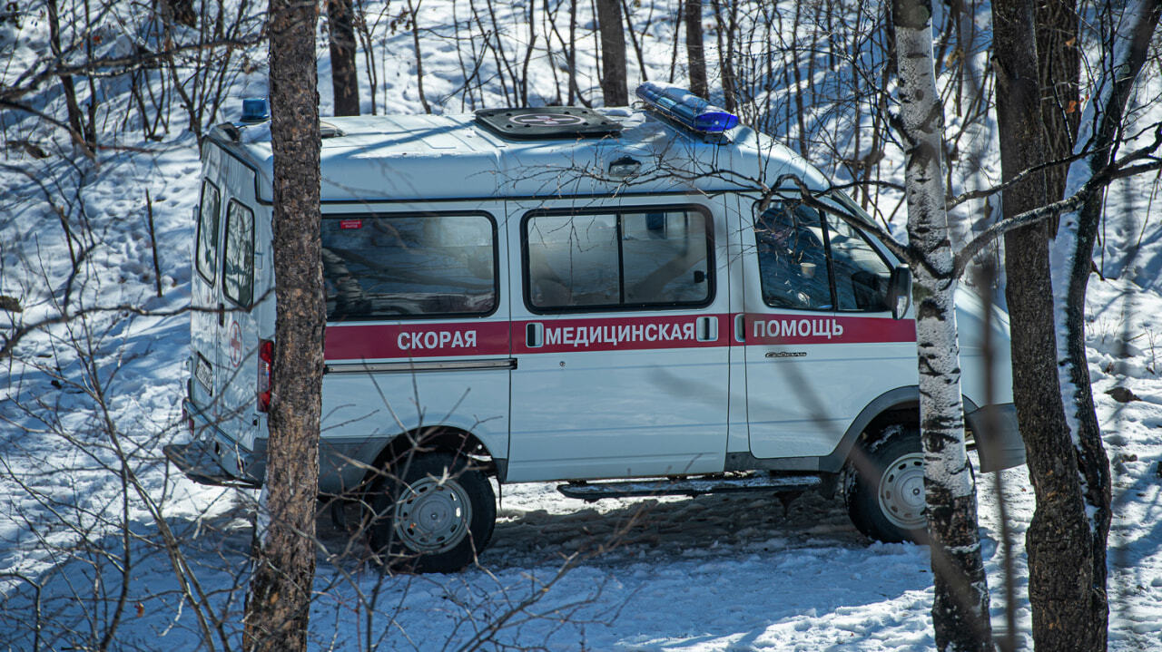 Введение системы вызова скорой за баллы прокомментировали в краевом  минздраве — Новости Хабаровска