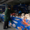 Рыбный рынок на Спортивной — newsvl.ru