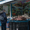 По словам продавцов, «плывёт» такая рыба в краевую столицу преимущественно с Камчатки, Сахалина и из Магадана — newsvl.ru