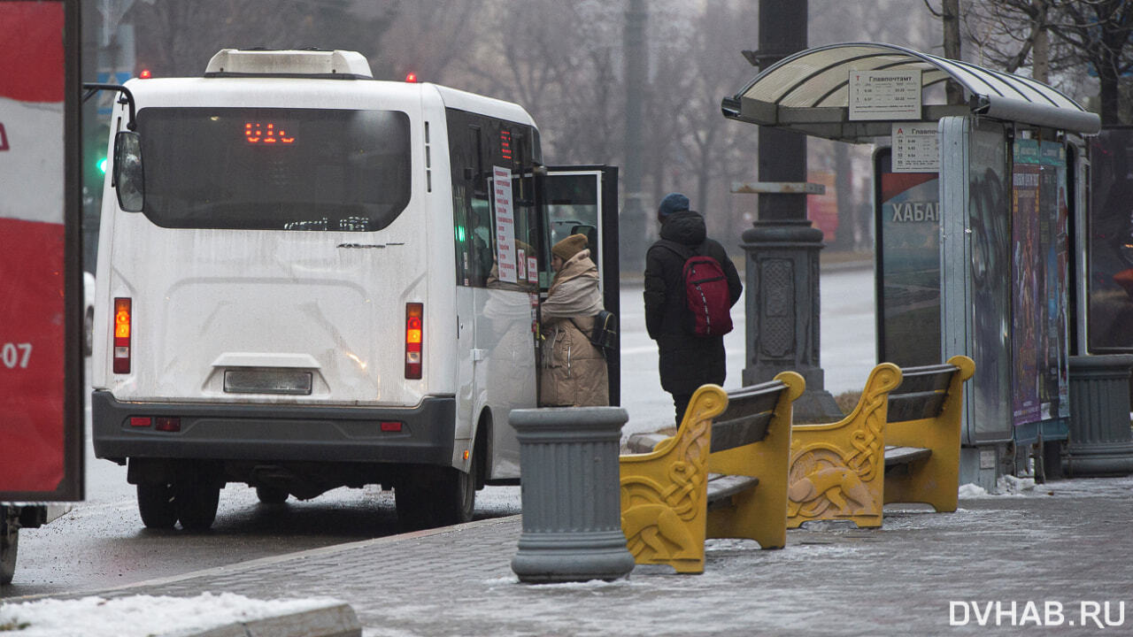 Почти на 200 сократилось число общественного транспорта в Хабаровске