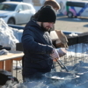 Под конец рыбалки для гостей нажарили корюшки — newsvl.ru