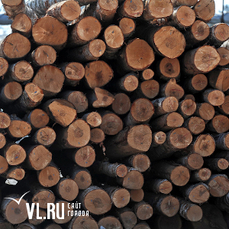 Попытка незаконно вывезти в Китай крупную партию древесины обернулась уголовным делом для приморского предпринимателя