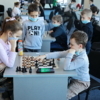 Приняли участие и шахматисты-профессионалы, и те, кто в секциях не занимаются — newsvl.ru