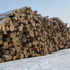 Приморская компания пыталась незаконно вывезти в Китай партию древесины на 14 млн рублей