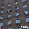 Полиция Владивостока проверяет заявление о выброшенной из окна кошке