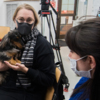Марина Михайлова рассказала о том, что домашние собаки, оказавшиеся в беде, нуждаются в особом уходе — newsvl.ru