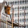 Многие местные жители для краткости называют его «зданием с быком» — newsvl.ru