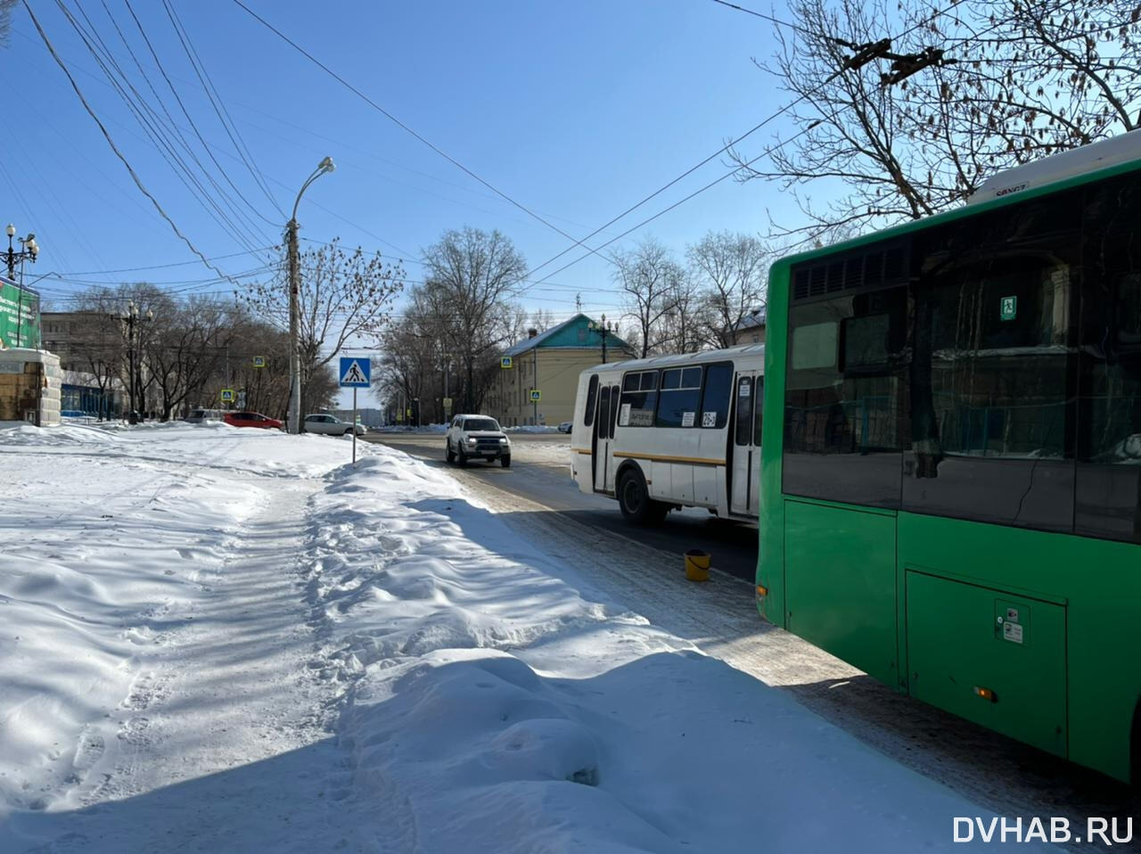 По ноге пенсионерки проехал водитель рейсового автобуса на Синельникова  (ФОТО) — Новости Хабаровска