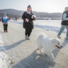 Кто-то бежал вместе со своей собакой — newsvl.ru