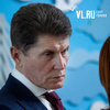 «Мы совещательный орган, а не исполнительный»: члены расформированного Олегом Кожемяко совета по экологии ответили на критику губернатора