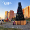 На площади и в районах Владивостока до сих пор стоят новогодние ёлки