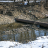 Если слишком углубить дно, в реку ворвётся морская вода, считают эксперты — newsvl.ru