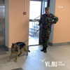 Во Владивостоке по электронной почте «заминировали» больше 10 школ