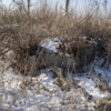 Остатки одного из фундаментов — newsvl.ru