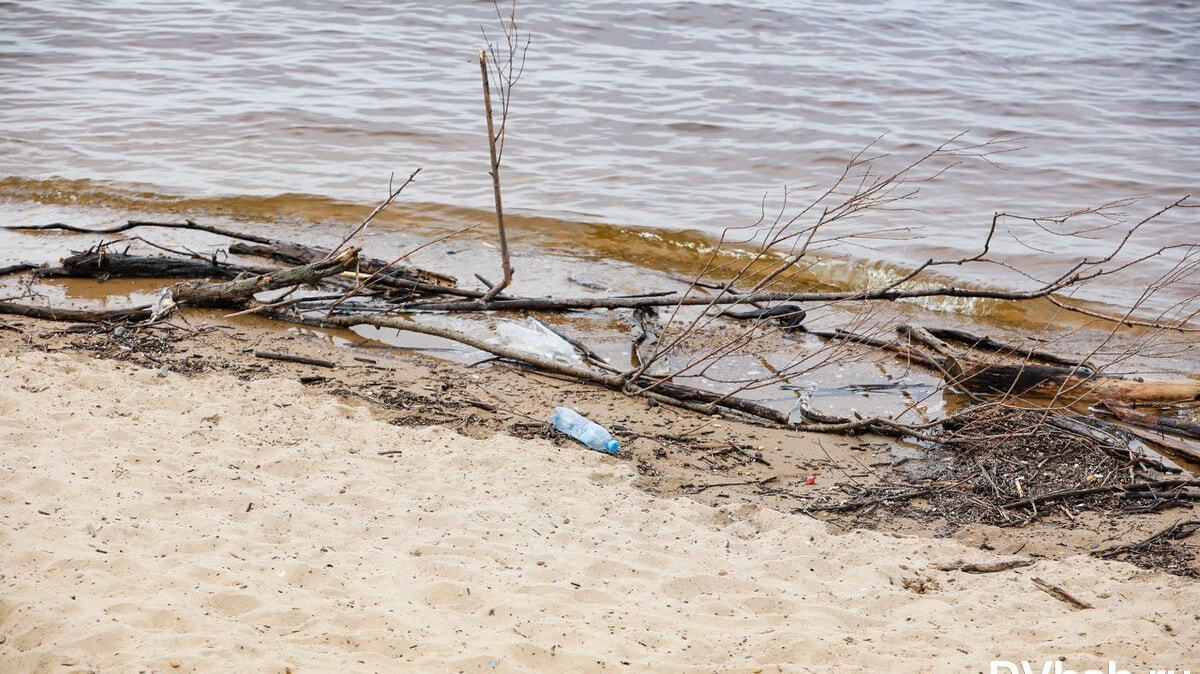 Около 150 километров берегов рек и озер края очистят от мусора за текущий год