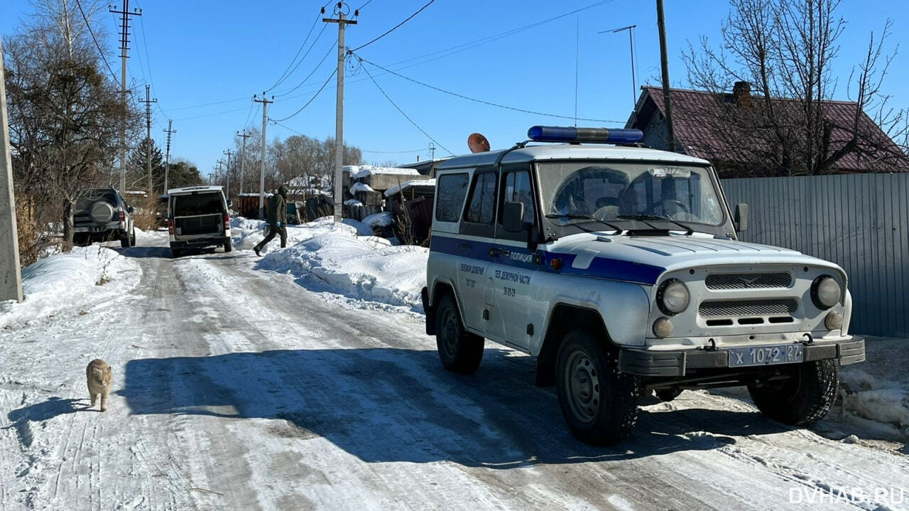 Труп в погребе: два месяца хранил тело жертвы уголовник на Красной речке  (ФОТО) — Новости Хабаровска