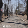 Благоустройство парка имени Лазо обсудят с жителями Владивостока 4 марта