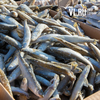 Порт Далянь приостановил отгрузки российской рыбы из-за коронавирусных ограничений