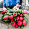 В ходу у владивостокских торговцев тюльпаны бокаловидной формы — newsvl.ru