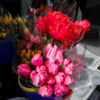 В этом году администрация определила 26 точек для легальной продажи цветов — newsvl.ru