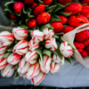 Такие тюльпаны очень необычные — newsvl.ru