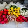 На Луговой цветочки очень хорошего качества – бутоны крепкие, а цвета самые разнообразные — newsvl.ru