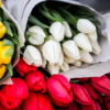 Тюльпаны на Луговой стоят от 100 до 150 рублей  — newsvl.ru
