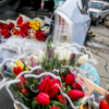 В России почему-то принято дарить на 8 Марта именно тюльпаны — newsvl.ru