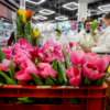 Люди уже активно покупают цветы — newsvl.ru