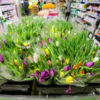 Выбор цветов в супермаркетах небольшой — newsvl.ru