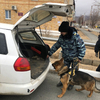 В Находке полицейские ищут 13-летнего мальчика
