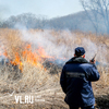 Природный пожар площадью 2500 гектаров потушили в Хасанском районе