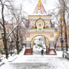 Триумфальная арка в снегу — newsvl.ru